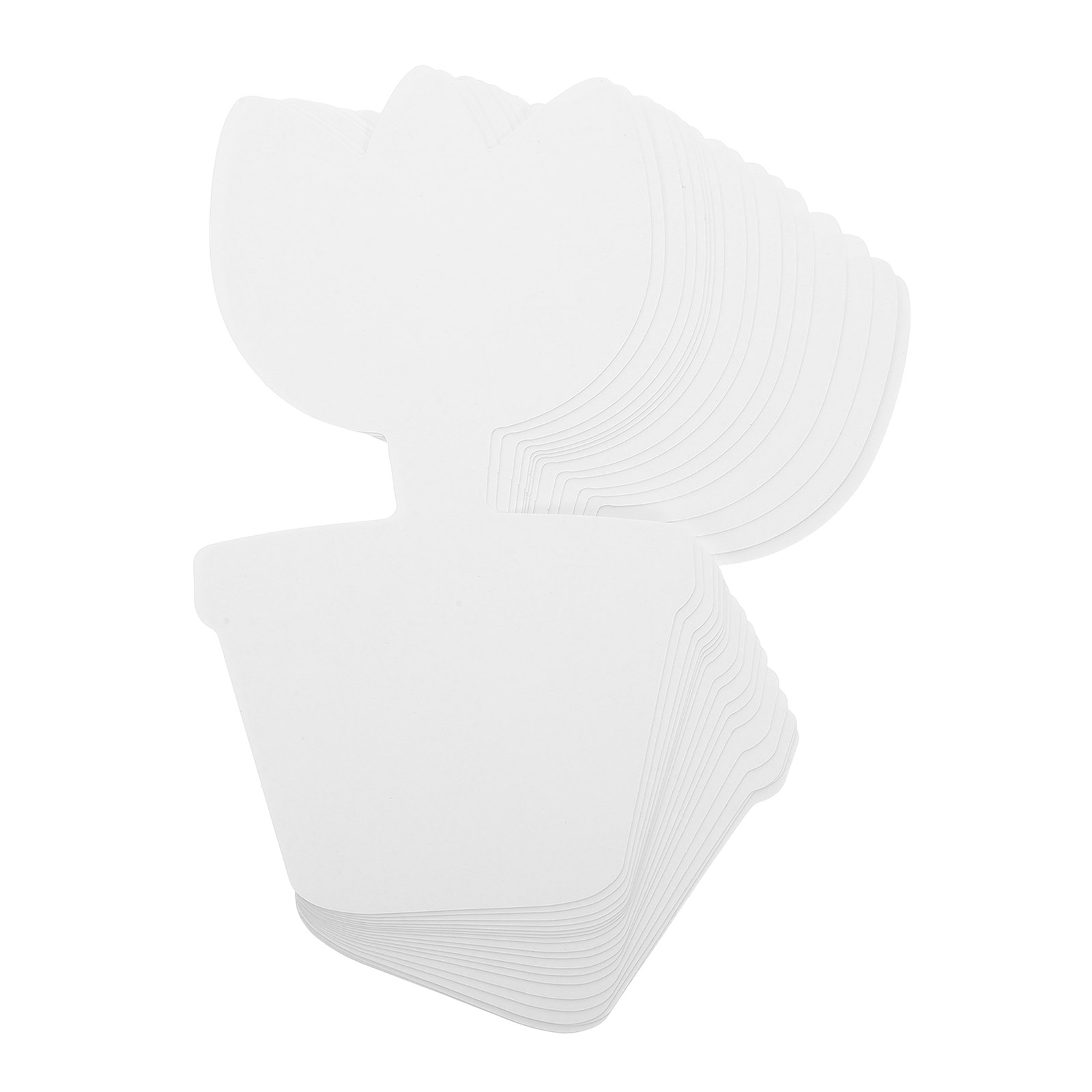 20 Stück leere Karton-Blumento – Art Craft Cardboard Bewertung und Preis